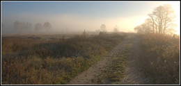 Ёжик ищет лошадку:) / Утро, туман, осень