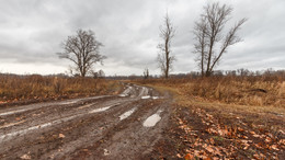 &nbsp; / 4 ноября 2018
Самарская обл.