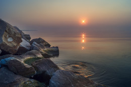 Утренняя нега / Цимлянское водохранилище, Ростовская область