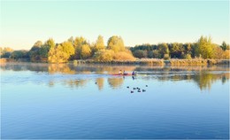 водоплавающие ) / ***