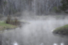 Утро в мае / Туман на лесной речке