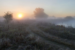 Туманным утром! / туман,осень,рассвет,озеро,дорога