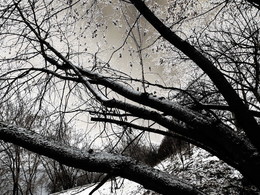 Ноябрь. Предзимье. Кружеа. (Китч) / 2014-11-21-0244-C000-024(80)+C