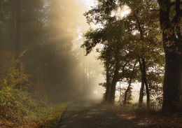 Сквозь туман / В единоборстве с туманом солнце побеждает . Осеннее утро . Зарисовка .