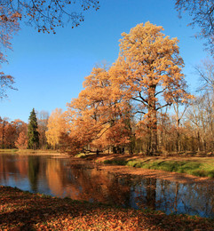 В октябре / Царское Село