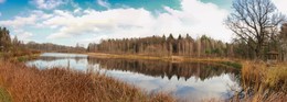 / озеро в пуще