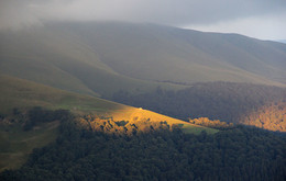 Полонына Вертеп / Летним дождливым днем проглянул лучик солнца...