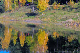 Осенние краски природы. / Осень. 2018.г Утки в озере, качают деревья.