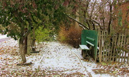 Вот и выпал первый снег... / Ноябрь.Ещё не вся осыпалась листва,но выпал снег и всё обледенело.