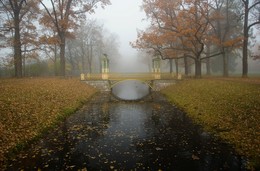 Туманное утро Китайского мостика... / Александровский парк