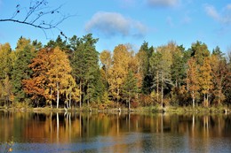 Гляжу в озёра... / Золотая осень на озере. Красиво, спокойно, душа отдыхает в таких местах..