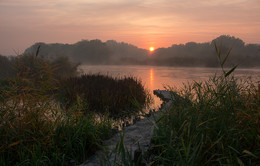 Утро Gipanisa / Река Южный Буг. с. Мигея. Украина.