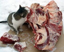 Таити? Нам и здесь хорошо! / Таити? Нам и здесь хорошо!