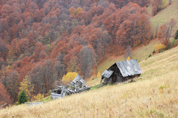 Осень в Карпатах / Закарпатская область. Покинутая стаенка.