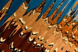 &nbsp; / https://photocentra.ru/my_blogs.php