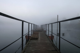 Туманная перспектива / туманным утром на берегу канала имени Москвы.