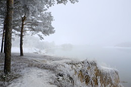 Туманная перспектива / Зимний пейзаж на реке Ока.