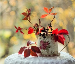 бабье лето / ***