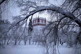 Новодевичий. Зима. / Зимние прогулки по Москве тоже бывают красивы.