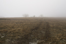 В путь / Гора Чатыр-Даг.