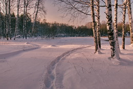 Вечер. / Томская область.