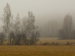 &quot;В облаках тумана лес безмолвный спит. Тишина...&quot; / &quot;Тишина - это удивительное время, потому что вы начинаете идти к себе ...&quot;