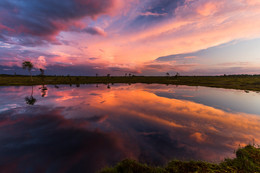 &nbsp; / cloud reflection in swamp lake