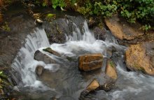 Водная Стихия / Нет