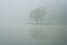 fog / Минск(лошица), вчерашний туман