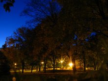 осень пришла в мой город... / желтые листья и синее небо...
золотая осень