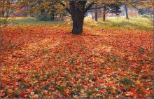 Осеннее покрывало / -как символ нашей теплой,душевной осени.