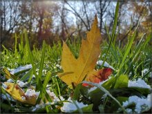 light snow flurries tonight forecast / .....