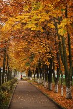 В городе осень и дворники / Кому прогулки по опавшей листве, а кому работа. :))