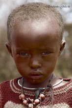 Африканское детство... / Дети, живущие в дерьме, по которым мухи ползают как-будто так и надо...голод и нищета...Дома построены из какашек коров, мужчины охотятся копьями на животных, женщины строят дома...никакой цивилизации...Африка...племя масаев...(Моя поездка в африку, октябрь 2008 г.)