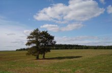 Where asphalt comes to an end? / Снято в Островецком районе...