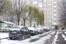 Городской дворик. / Над машинами ива склонилась.