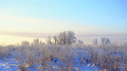 Утро в поле. / Зимнее , морозное утро.