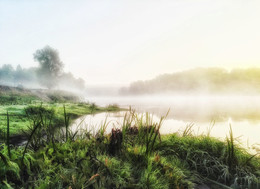 &nbsp; / Foggy morning on the river.
Туманное утро на реке.