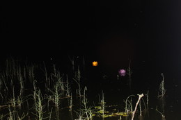 На темной стороне / летняя ночь, водяные фонарики