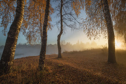 Золотые россыпи осени / Подмосковье Павловский Посад