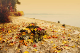 Листья падают / Каунасская лагуна осенью, когда листья падают