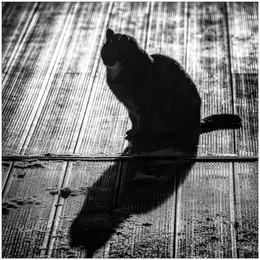 Последний день осени / Хороший, но короткий световой день