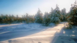 Заснеженная пятница / спит зимний лес