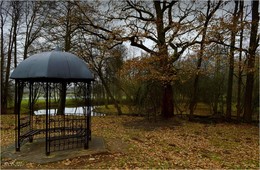 беседка, дуб, мангал / ***