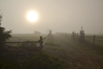 Из прогулок по Закарпатью. Солнце в тумане / ***