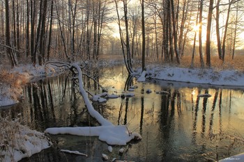 Там на неведомых дорожках..... / Речка Нерехта!!
