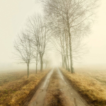 Дорога в тумане / Образ леса и парка Литвы наступает осенью