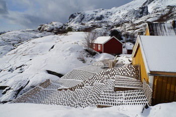 Противовес / зима