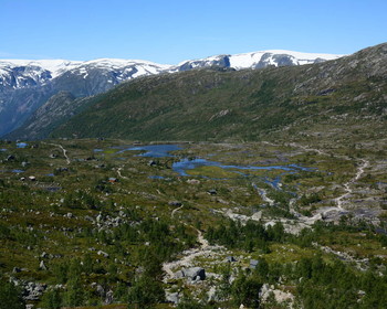 &nbsp; / Лето в горах Норвегии.