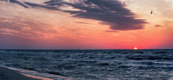 У моря, у синего моря... / Азовское побережье близ Мариуполя, Белосарайская коса, август 2014

http://www.youtube.com/watch?v=NLx8-bYdB4U
